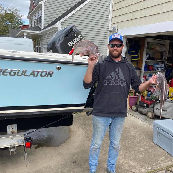 Meet your Posher, Joe - Picture 1 of 1